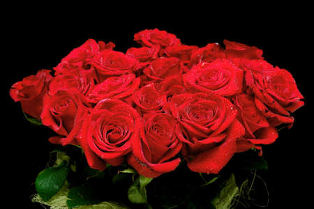 large bouquet of beautiful red roses in drops on a black backgroundの写真素材