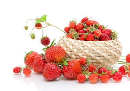 Wild strawberries in a wicker basket and strawberries closeup on white backgroundの写真素材