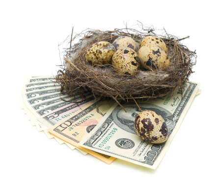 eggs in the nest and money isolated on white background close-upの写真素材