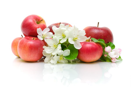 Ripe red apples and apple flowers isolated on a white background close-upの写真素材