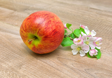ripe red apple and blossoming branch of apple on wooden background. horizontal photo.の写真素材