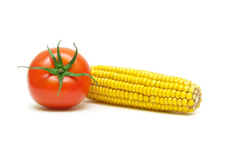 corn and tomato isolated on white background close-up. horizontal photo.の写真素材