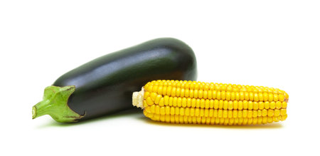 eggplant and corn on the cob isolated on white background close-up. horizontal photo.の写真素材