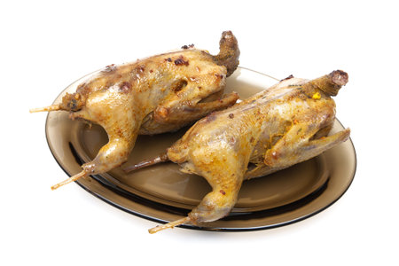 carcass roasted woodcocks on a plate isolated on white background. horizontal photo.の写真素材