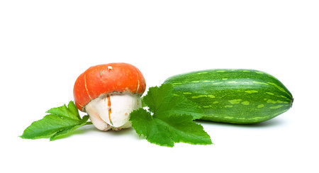 fresh vegetables: pumpkin and zucchini isolated on a white background. horizontal photo.