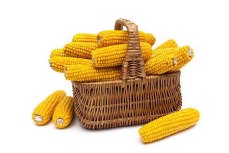 basket with ears of corn on a white background. horizontal photo.の写真素材