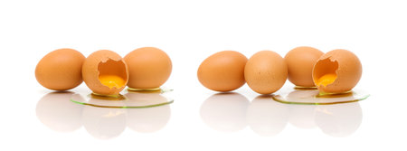 chicken eggs on a white background. horizontal photo.