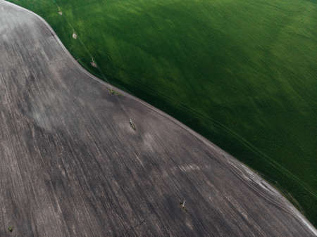 bird's eye view of green fieldの写真素材