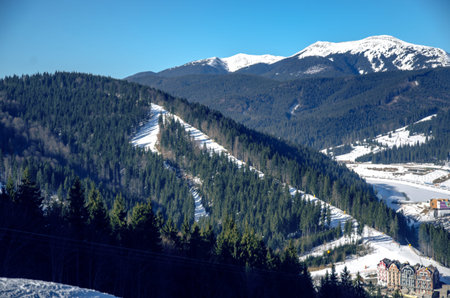 Mountain snow spruce Bukovel nature blue skyの写真素材