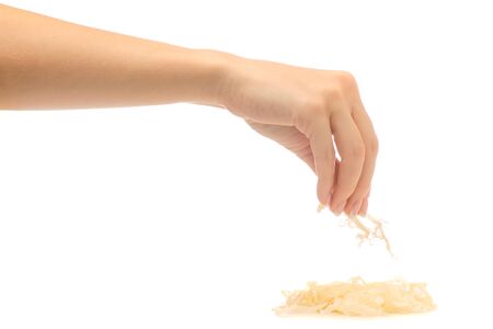Dried squid in a hand on a white background isolationの写真素材