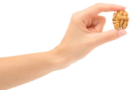 Female hand with walnut on white background isolationの写真素材