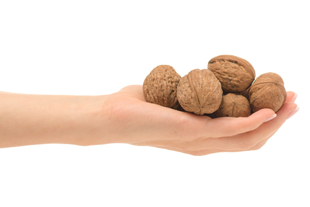 Female hand with walnut on white background isolationの写真素材
