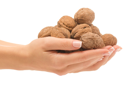 Female hand with walnut on white background isolationの写真素材