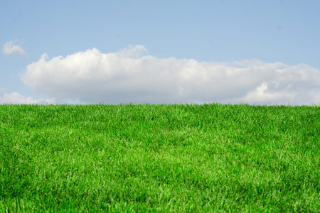 Grass sky clouds nature fascinates beauty green