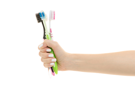 Female hands with toothbrushes toothbrushes for the whole family on white background isolationの写真素材