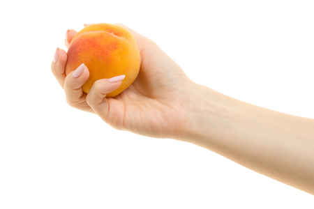 Peach in a female hand on a white background isolationの写真素材