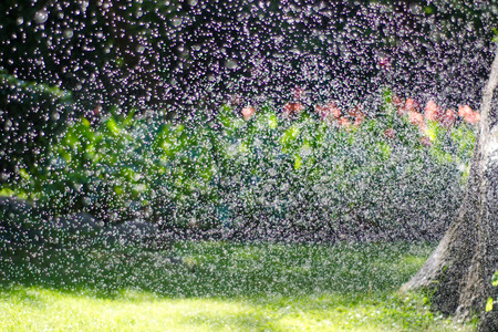 Splashing water in the sun in the background flowers and grass in the gardenの写真素材