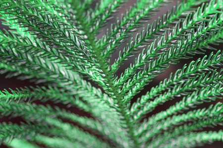 Soft green needles background macro blurs photo