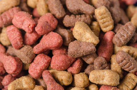 Food for dogs and cats on a white background isolation