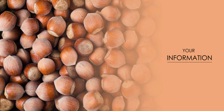 The hazelnuts nut macro texture pattern background