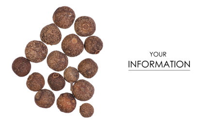 Black pepper peas fragrant pattern on a white background isolationの写真素材