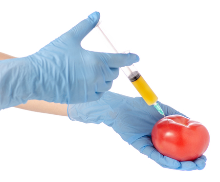 Syringe in the hands of tomato on a white background isolationの写真素材