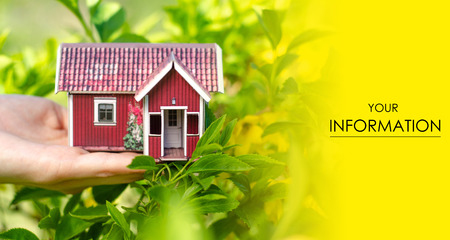 Small house in hand sun leaves plant green nature pattern on blurred backgroundの写真素材