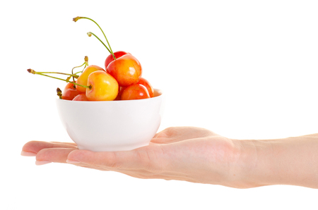 Cherries bowl in hand on a white background isolationの写真素材