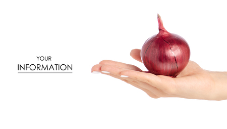 Blue onion salad in hand pattern on a white background isolationの写真素材