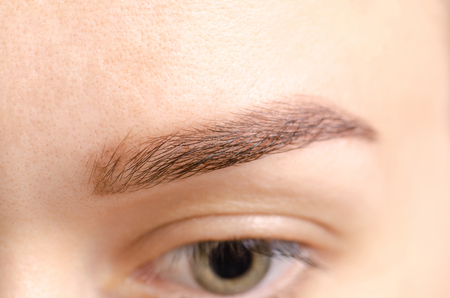 Female eyebrows brown eye shape skin female beauty natureの写真素材