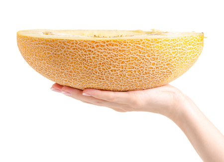 Melon in hand on white background isolationの写真素材