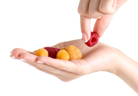 Yellow and pink raspberries in hand on a white background isolation