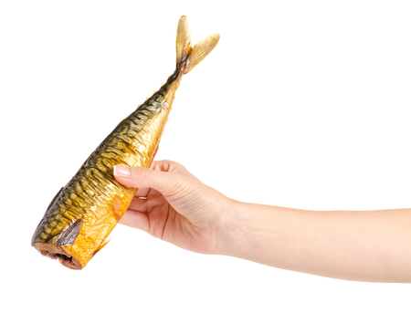 The smoked fish mackerel in hand on white background isolationの写真素材