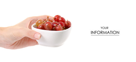 Gooseberries in a bowl in hands pattern on white background isolationの写真素材