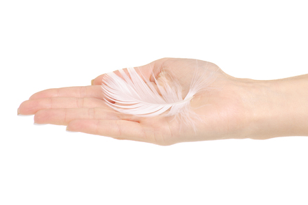 White feather in the female hand beauty care skin on a white background isolationの写真素材