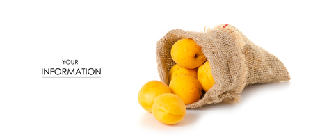 Apricots in a pouch orange fruit pattern on a white background isolationの写真素材