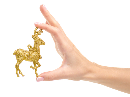 Christmas toy gold deer in hand isolated on a white background.の写真素材