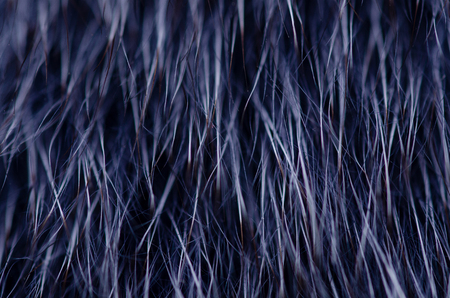 Blue black fur macro villus texture detail nature on blur backgroundの写真素材