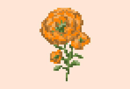 Illustration of an orange marigold flower in pixel art styleのイラスト素材