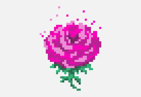 Illustration of a rose blossom in pixel art styleのイラスト素材