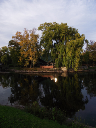 Ontario lake water canal inside Toronto Island Park, autumn trees reflection, yellow foliage and blue evening skyの写真素材