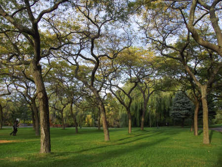 Autumn, Variety Colors of Leaves on trees in Toronto Island Natural Park, Ontario, Canadaの写真素材