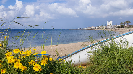 Yellow flowers in green grass against the blue sky and the Mediterranean Sea, boat on the beach of Bat Galim, Israelの写真素材