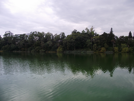 Autumn evening nature and green colored pond in High Park, Toronto, Canadaの写真素材