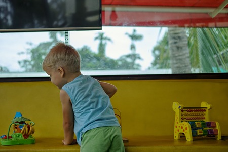 Handsome preschool boy plays toys in playroom. Palm trees backgroundの写真素材