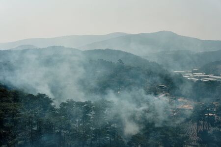 Wildfire, smoke filled sky above forest. Concept: warming, climate changeの写真素材