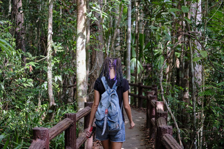Hiker in a nature green forest, young adult girl with backpack goes pathway in rainforest. Thailand.の写真素材