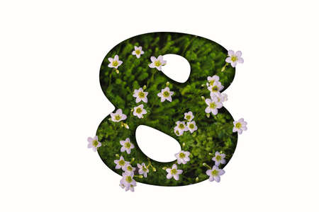 Colorful spring three-dimensional floral alphabetの写真素材