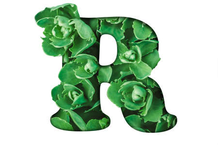 Colorful spring three-dimensional floral alphabetの写真素材