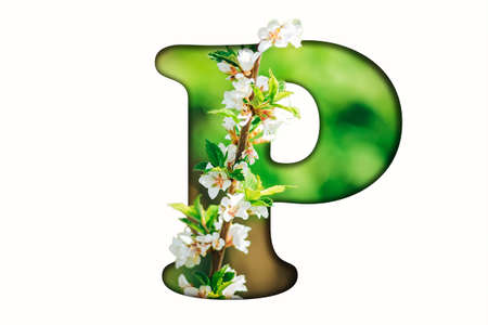 Colorful spring three-dimensional floral alphabetの写真素材